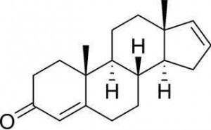androstadienone - ingrediente feromone Magnet Strong