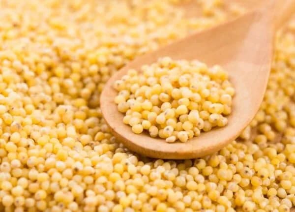 Czy kasza jaglana tuczy? Odkryj prawdę o jej kaloryczności