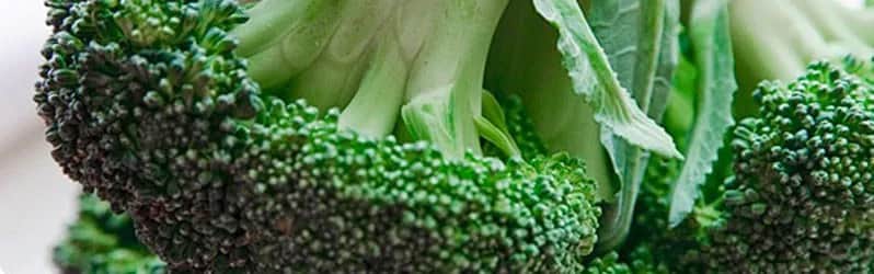 Co można zrobić dietetycznego z brokułami? 7 zdrowych przepisów na dania