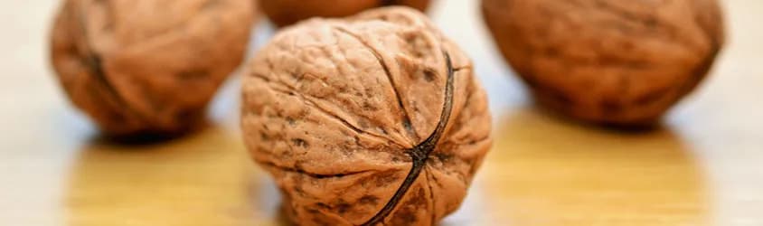 Ile kcal mają orzechy? Sprawdź kaloryczność popularnych rodzajów